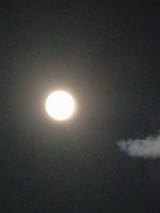 Tonight's moonlight